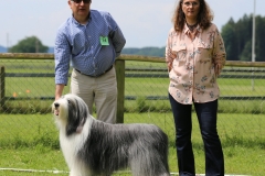 Percy9