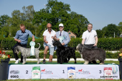 SA_Best_in_Show_Veteran