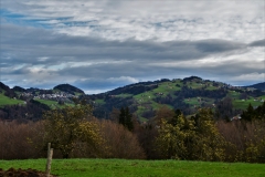 DSC_4550.2