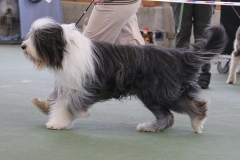 Percy