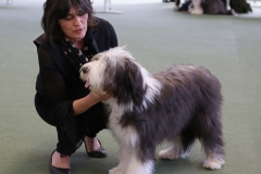 basia