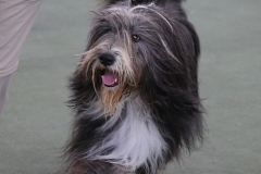 george1