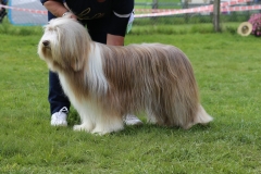 Marquis4