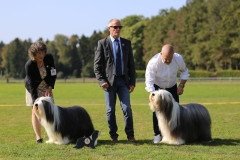 BOB_BOS