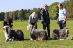 CHK_Huendinnen.1jpg