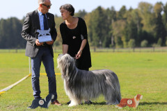 Clubsieger.2
