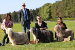 VeK_Huendinnen.2