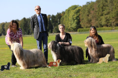 VetK_Huendinnen.1