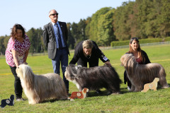 VetK_Huendinnen