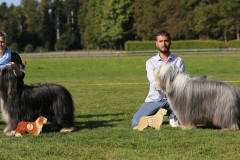 VetK_Rueden.2