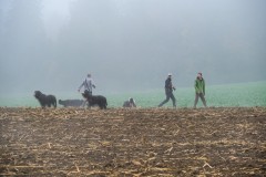 DSCF5626