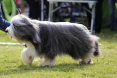 Duffy7
