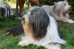 DSC05834