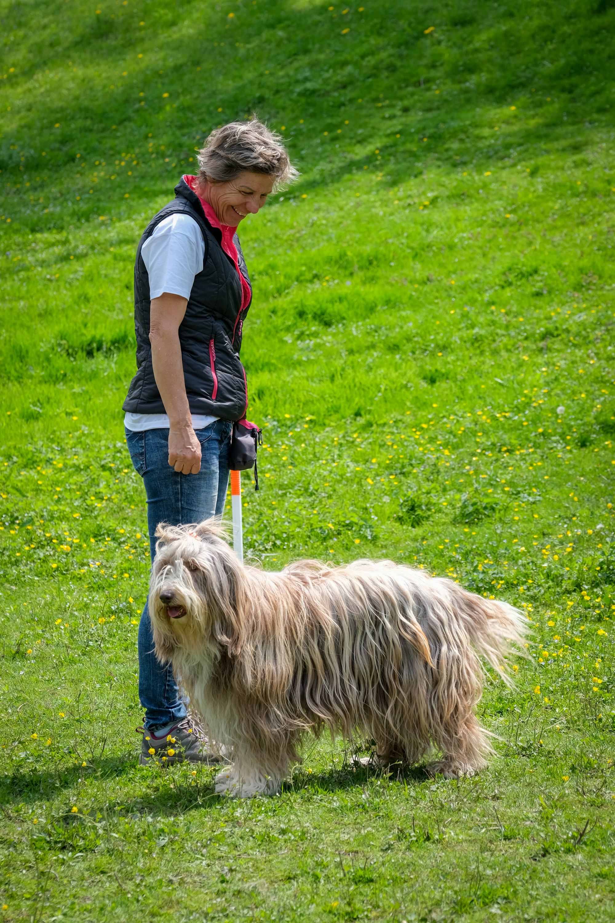 2022_Tag_des_Hundes_DSCF3923