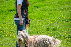 2022_Tag_des_Hundes_DSCF3923