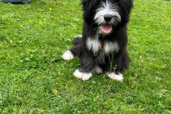 6A57DF75-2053-4FA6-A984-7D93D03BF09E