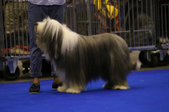 Percy_WDS_4