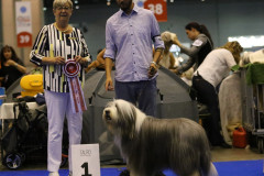 Percy_WDS_6
