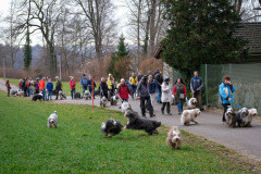 Beardi_Walk_19.02.23_DSCF6062