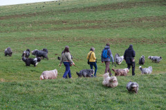 Beardi_Walk_19.02.23_DSCF6096