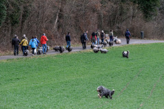 Beardi_Walk_19.02.23_DSCF6181