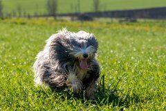 DSC09509