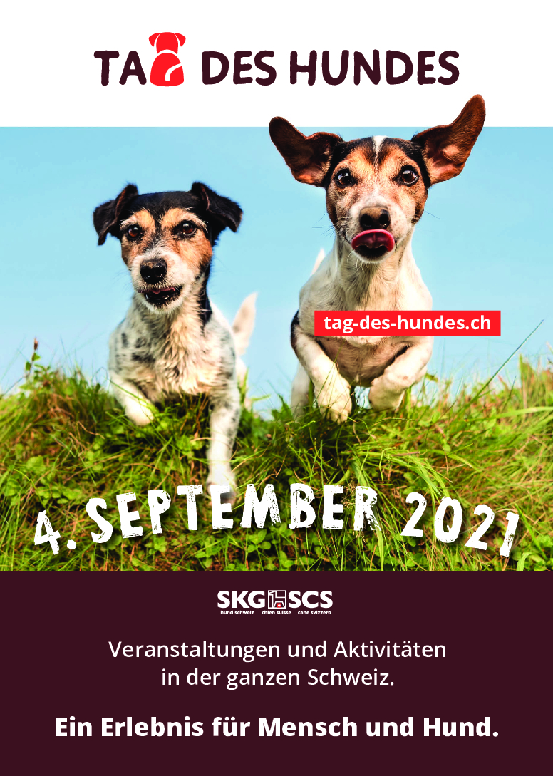 dans syre Ed Tag des Hundes: NEUES DATUM - SBCC Schweizerischer Bearded Collie Club