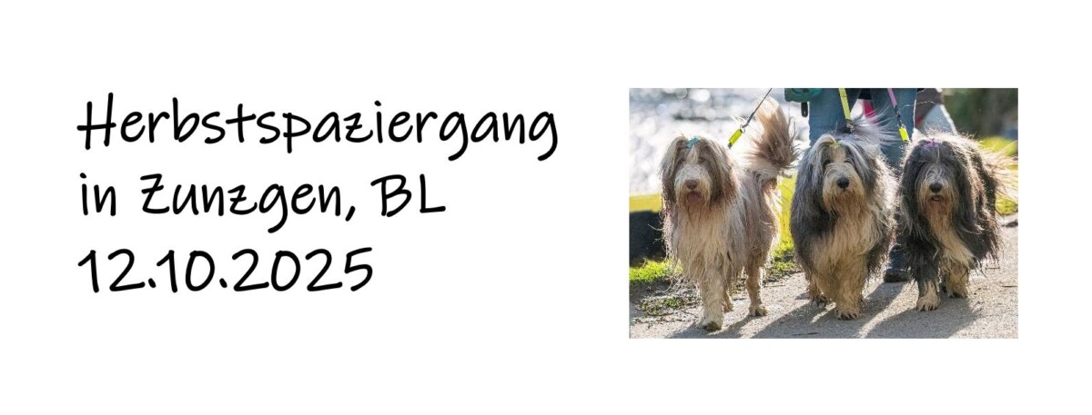 Titel_HP